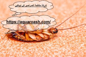[صورة: %D8%B4%D8%B1%D9%83%D8%A9-%D9%85%D9%83%D8...00x200.jpg]