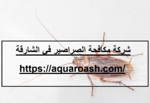 [صورة: %D8%B4%D8%B1%D9%83%D8%A9-%D9%85%D9%83%D8...00x205.jpg]