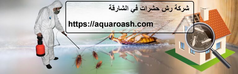 شركة رش حشرات في الشارقة