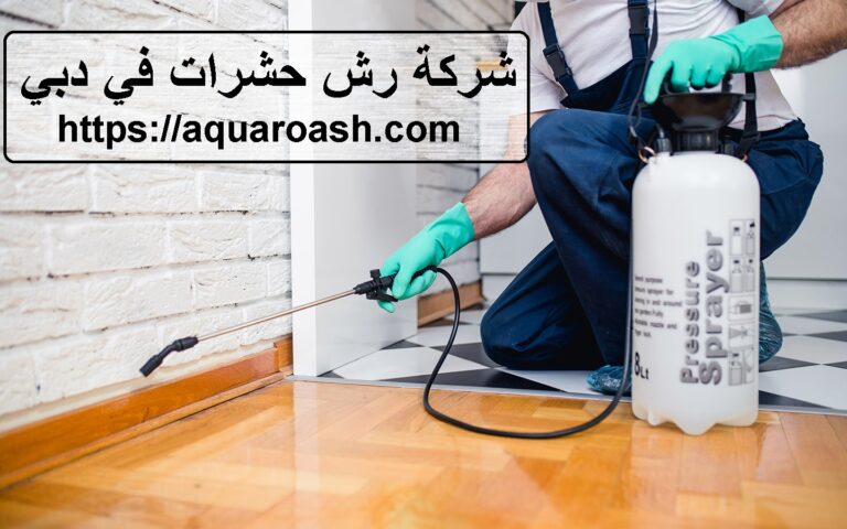 شركة رش حشرات في دبي