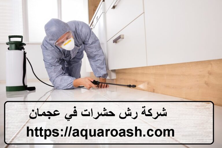 شركة رش حشرات في عجمان : خدمات متخصصة لحماية منزلك من الآفات
