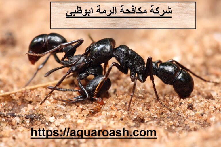 شركة مكافحة الرمة في أبوظبي :