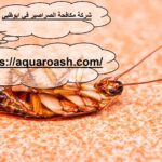 شركة مكافحة الصراصير في ابوظبي