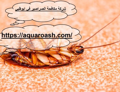 شركة مكافحة الصراصير في ابوظبي |0563480309| ارخص الاسعار