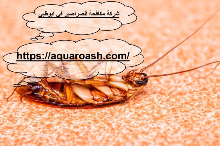 شركة مكافحة الصراصير في ابوظبي