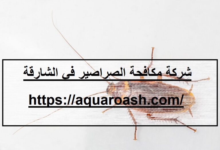 شركة مكافحة الصراصير في الشارقة