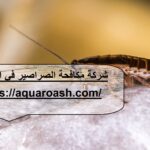 شركة مكافحة الصراصير في الفجيرة