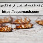 شركة مكافحة الصراصير في ام القيوين