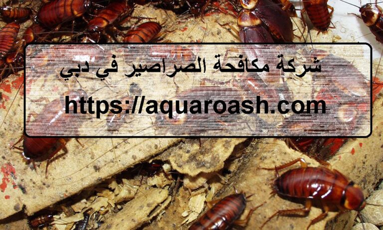 شركة مكافحة الصراصير في دبي