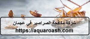 شركة مكافحة الصراصير في عجمان |0565811302
