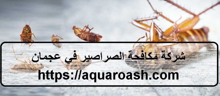 شركة مكافحة الصراصير في عجمان