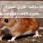 شركة مكافحة الفئران الفجيرة