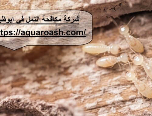 شركة مكافحة النمل في ابوظبي |0563480309| قضاء تام