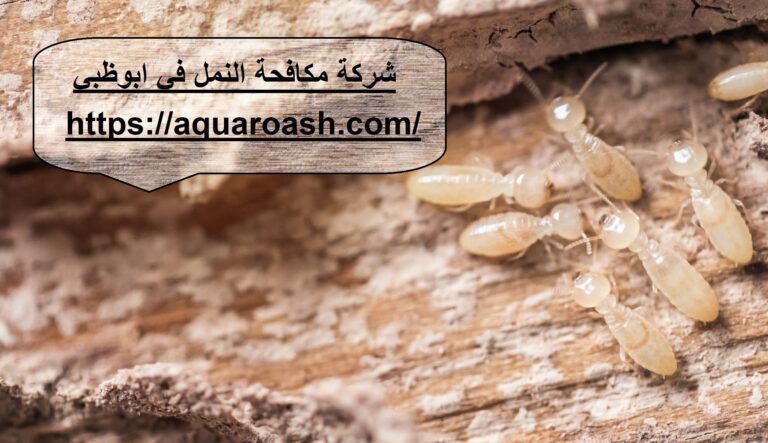 شركة مكافحة النمل في ابوظبي