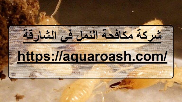 شركة مكافحة النمل في الشارقة