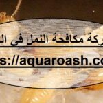 شركة مكافحة النمل في العين