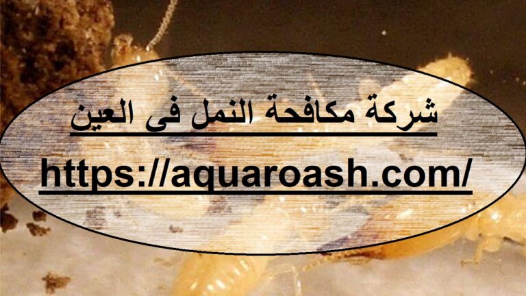 شركة مكافحة النمل في العين