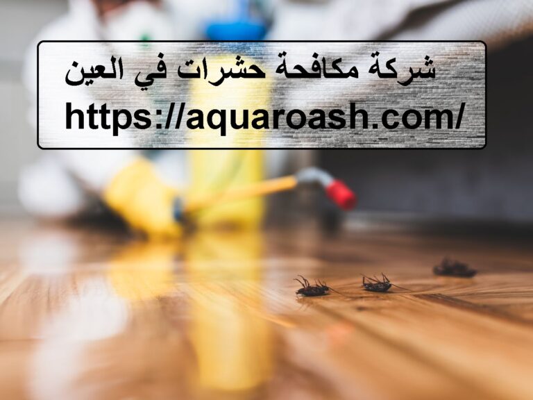 شركة رش حشرات في العين