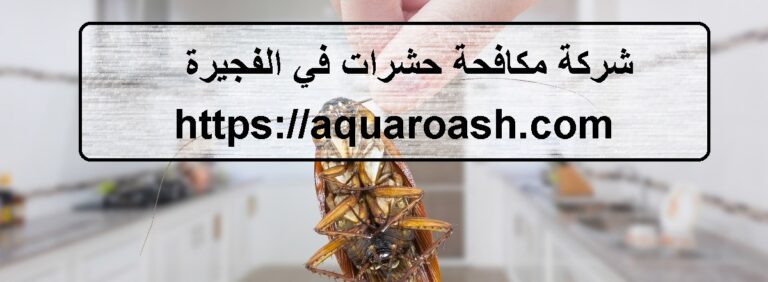 شركة مكافحة حشرات في الفجيرة