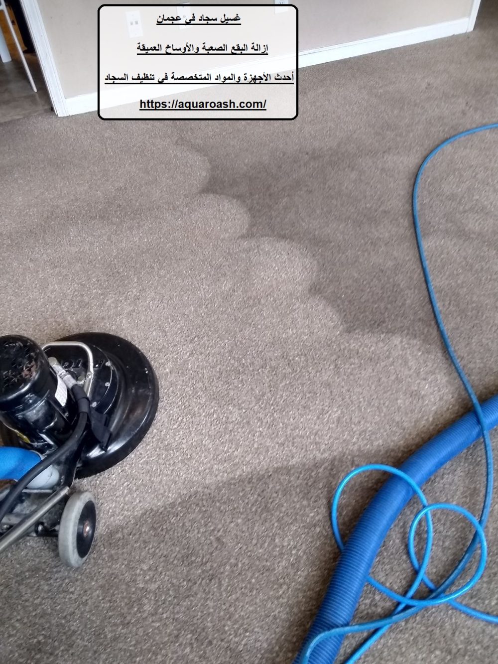غسيل سجاد في عجمان