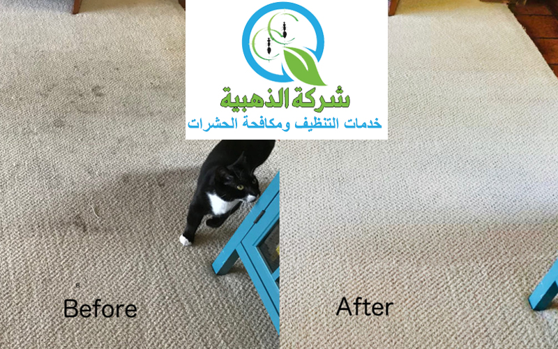 تنظيف السجاد بالبخار في دبي