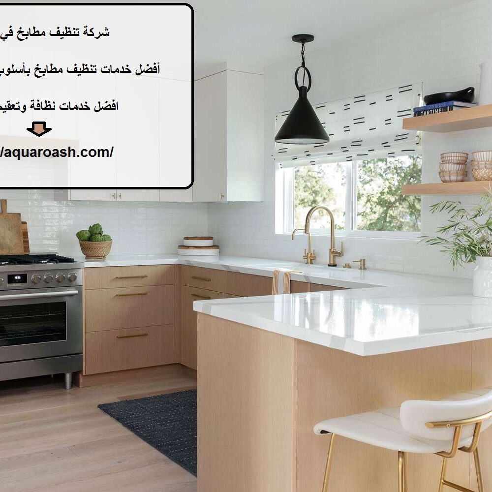 شركة تنظيف مطابخ في العين