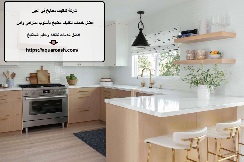 شركة تنظيف مطابخ في العين