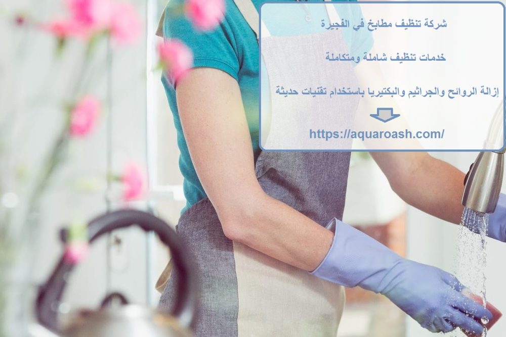 شركة تنظيف مطابخ في الفجيرة