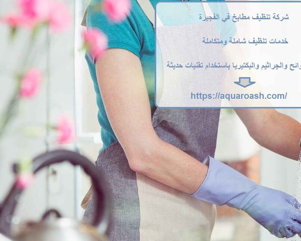 شركة تنظيف مطابخ في الفجيرة