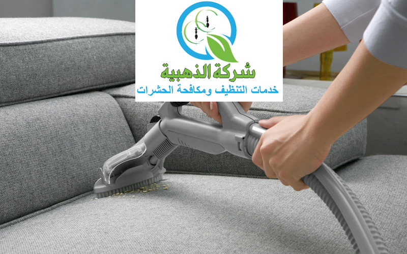 deep-cleaning-sofa-services 