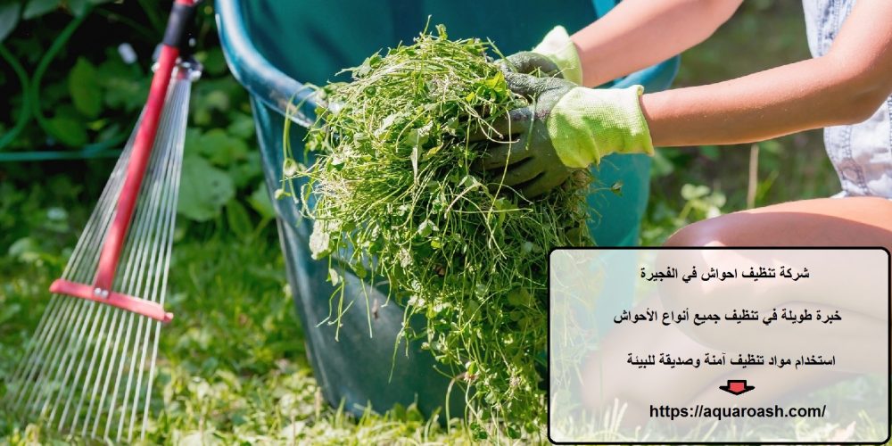 شركة تنظيف احواش في الفجيرة
