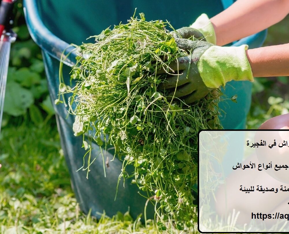 شركة تنظيف احواش في الفجيرة