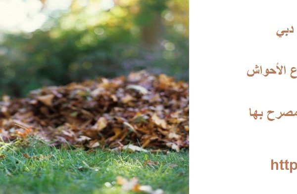 شركة تنظيف احواش في دبي