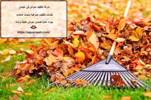 شركة تنظيف احواش في عجمان