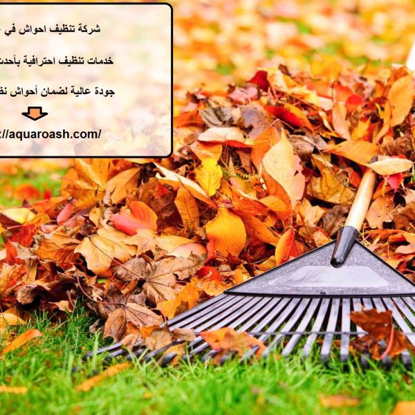 شركة تنظيف احواش في عجمان