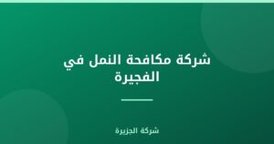 شركة مكافحة النمل في الفجيرة |0565811302| رش نمل