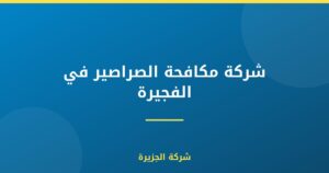 شركة مكافحة الصراصير في الفجيرة |0565811302| رش صراصير
