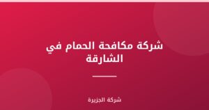 شركة مكافحة الحمام في الشارقة : 0565811302