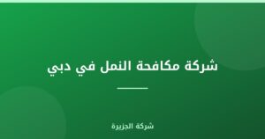 شركة مكافحة النمل في دبي |0565811302| طرد النمل الابيض