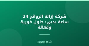 شركة إزالة الروائح 24 ساعة بدبي: حلول فورية وفعالة